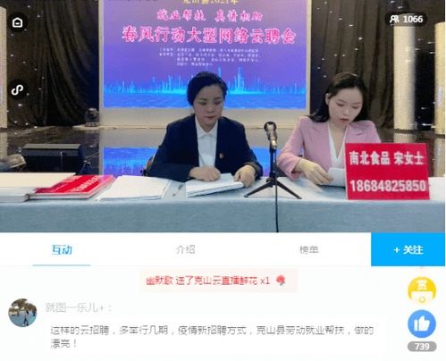 克山县“就业帮扶 真情相助”大型网络云聘会圆满落幕，宝龙云聘助力就业新篇章