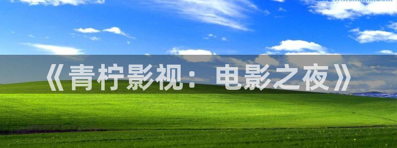第九电影花花影院