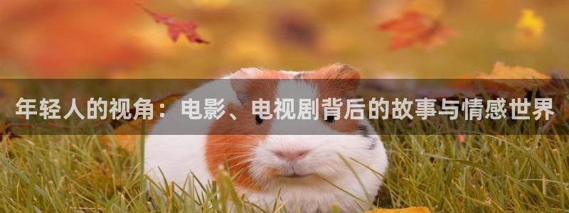 神马第九电影院：年轻人的视角：电影、电视剧背后的故事与情感世界