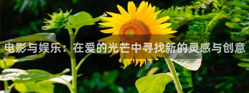 神马影院第九神院：电影与娱乐：在爱的光芒中寻找新的灵感与创意