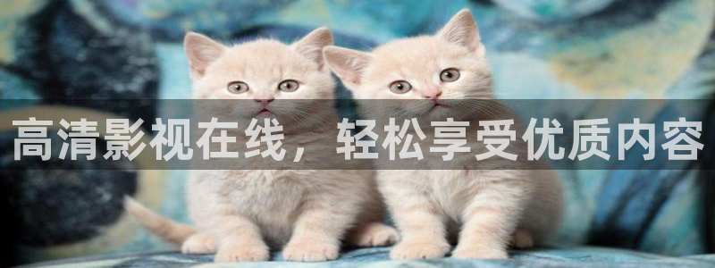 神马影院第九场：高清影视在线，轻松享受优质内容