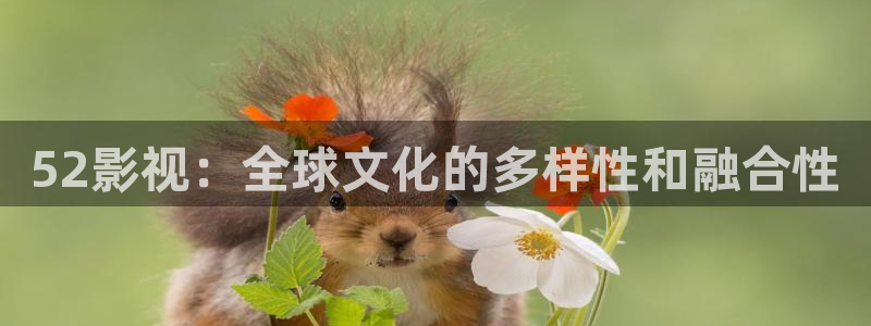 第九神马伦理影院：52影视：全球文化的多样性和融合性