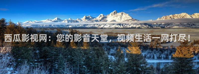 第九影院电影在线观看免费：西瓜影视网：您的影音天堂，视频生活一网打尽！