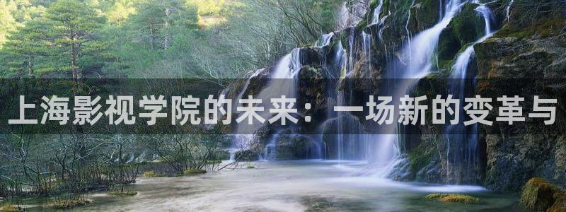 第九电影免费版在线观看：上海影视学院的未来：一场新的变革与