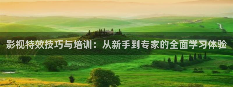 第九电影影院：影视特效技巧与培训：从新手到专家的全面学习体验