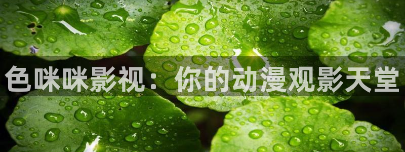 第九影院电影免费观看：色咪咪影视：你的动漫观影天堂
