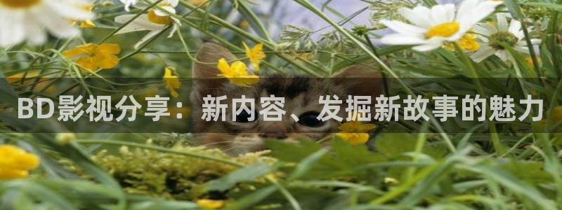 韩国第九电影院