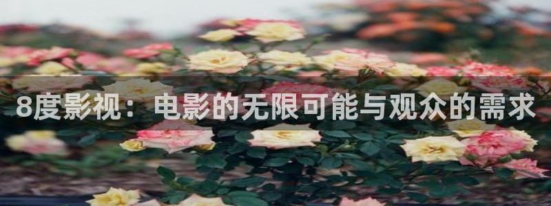 花花影院第九电影：8度影视：电影的无限可能与观众的需求