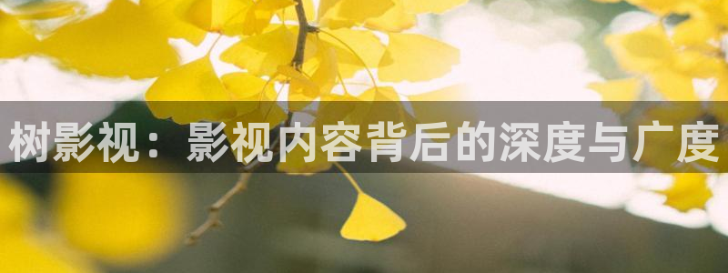 第九号影院：树影视：影视内容背后的深度与广度